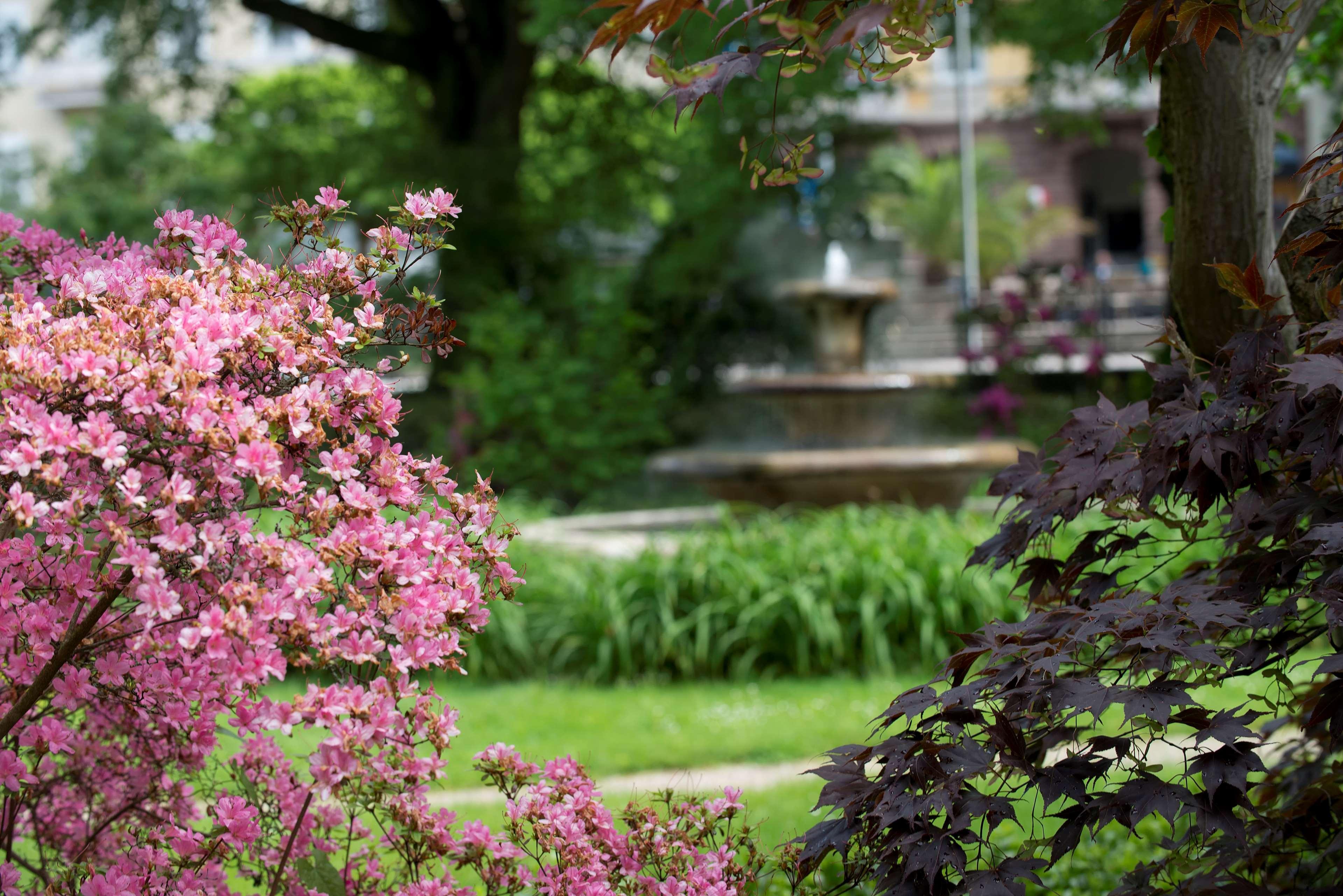 Hotel Badischer Hof - Leonardo Limited Edition Baden-Baden