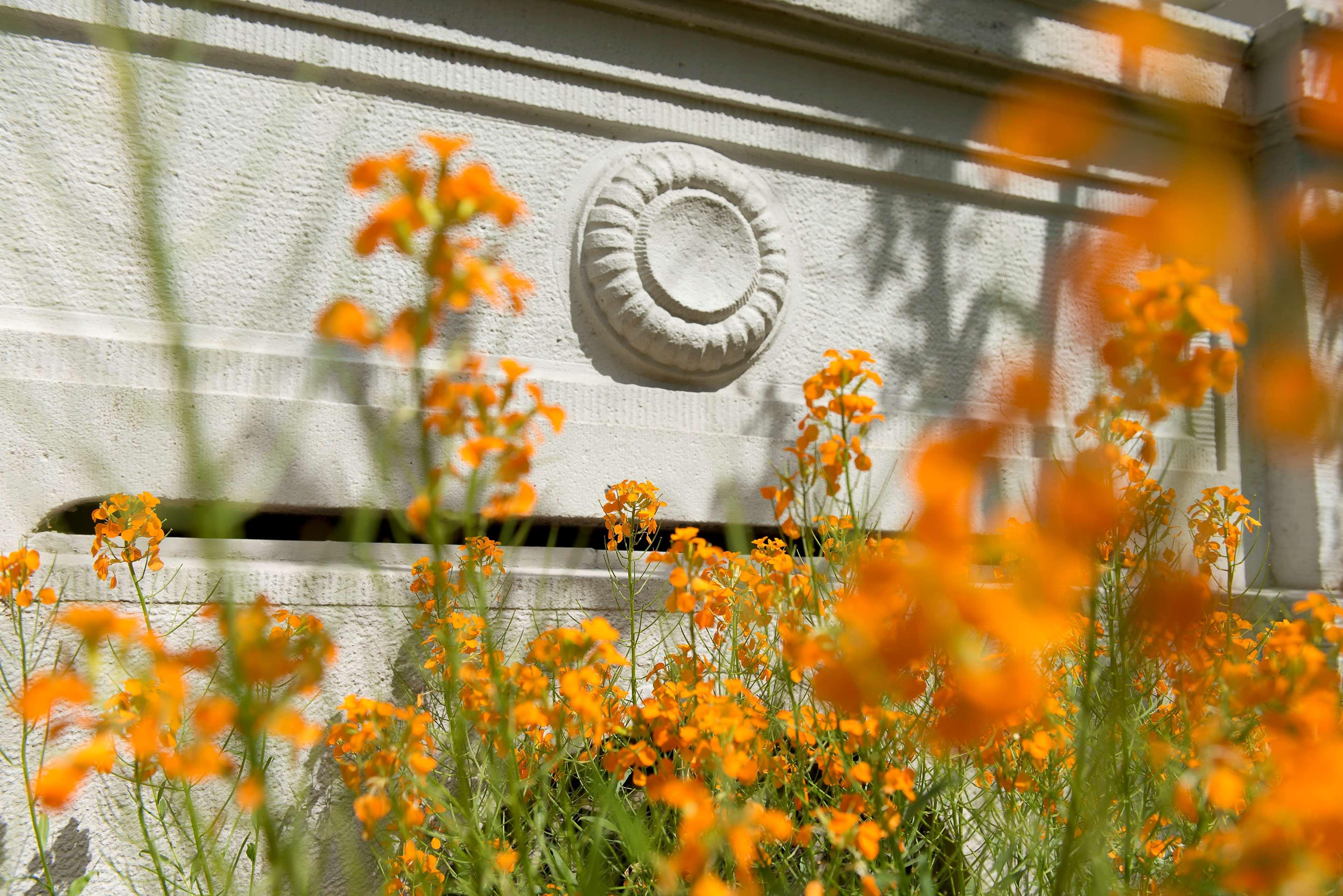Badischer Hof - Leonardo Limited Edition Hotel 5*